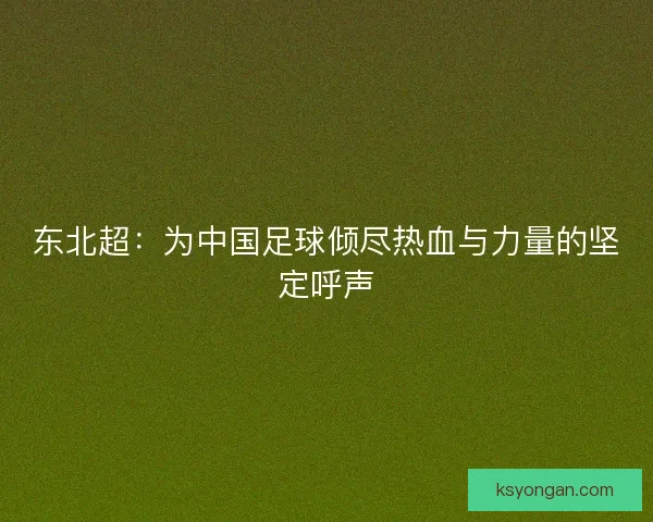 东北超：为中国足球倾尽热血与力量的坚定呼声